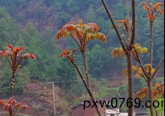微(wei)信(xin)圖(tu)片(pian)_20210420174734.jpg