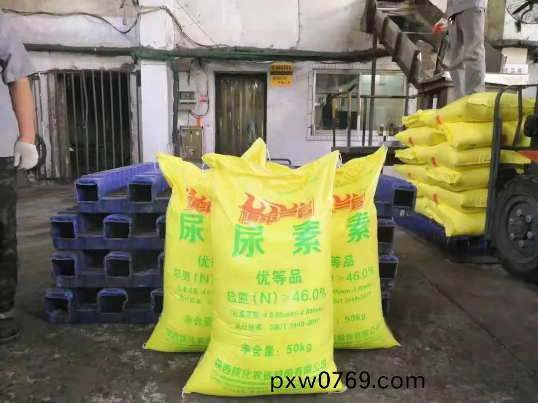 1634291826760920.jpeg 1634291826760920.jpeg