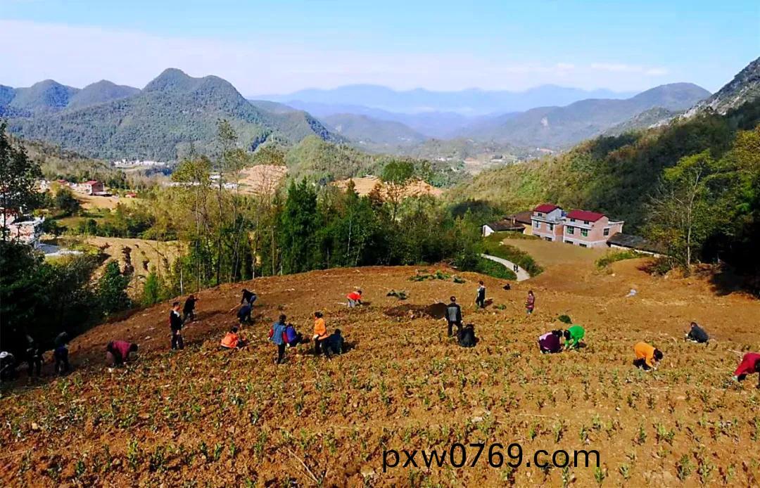 百度(xin)圖片(pian)_20211102194134.jpg