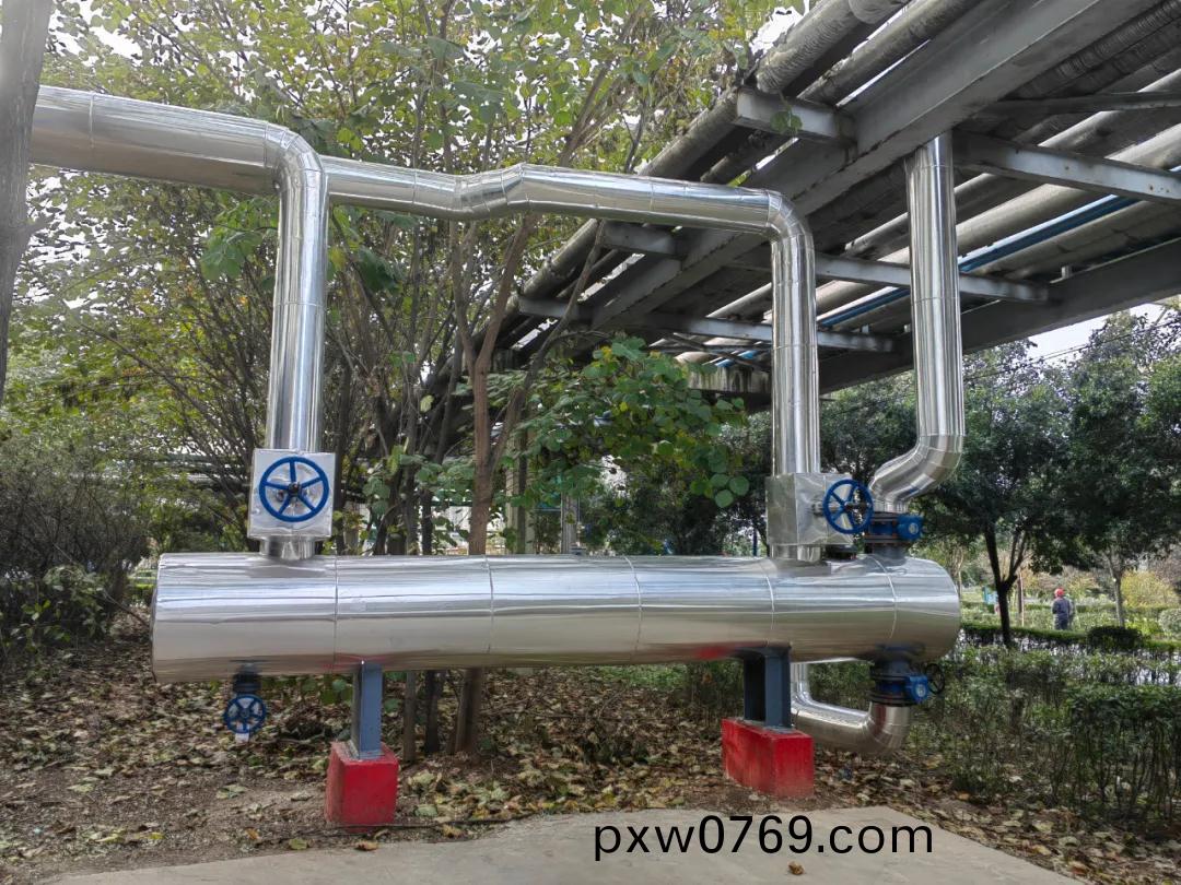 1637061037394824.jpeg 1637061037394824.jpeg