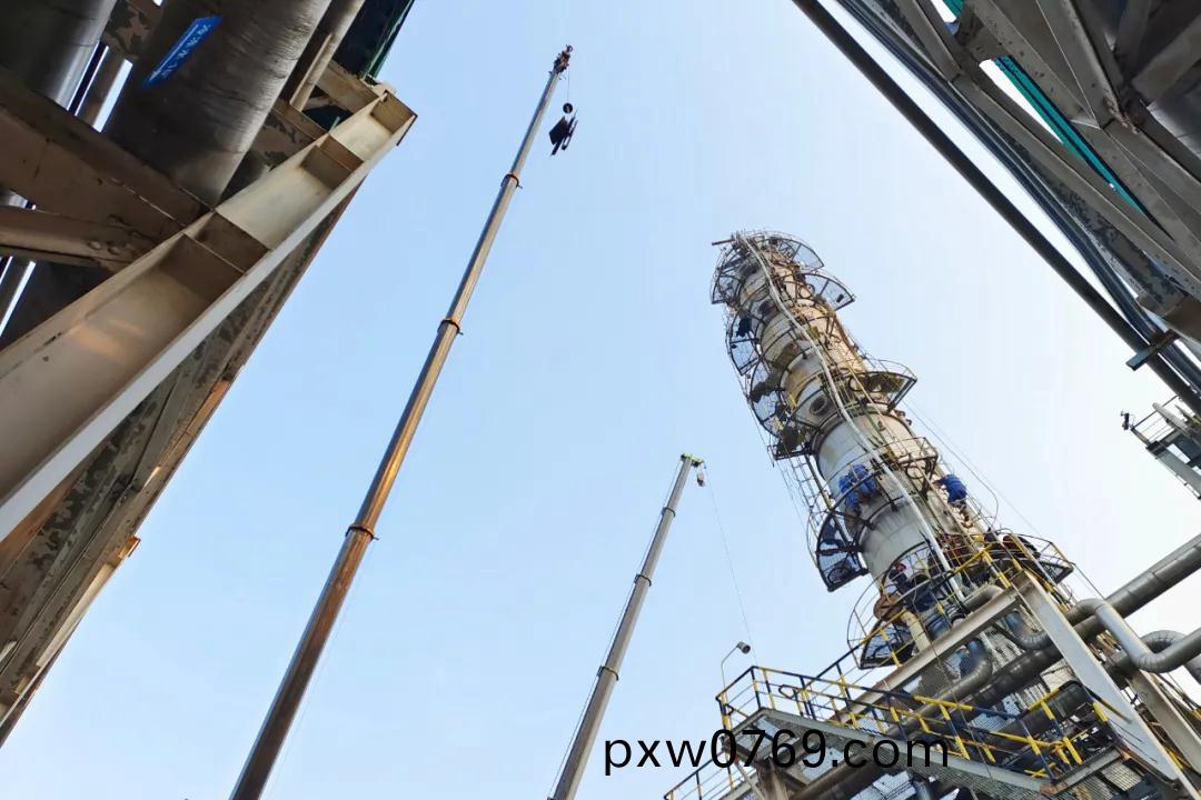 1639652094928762.jpeg 1639652094928762.jpeg