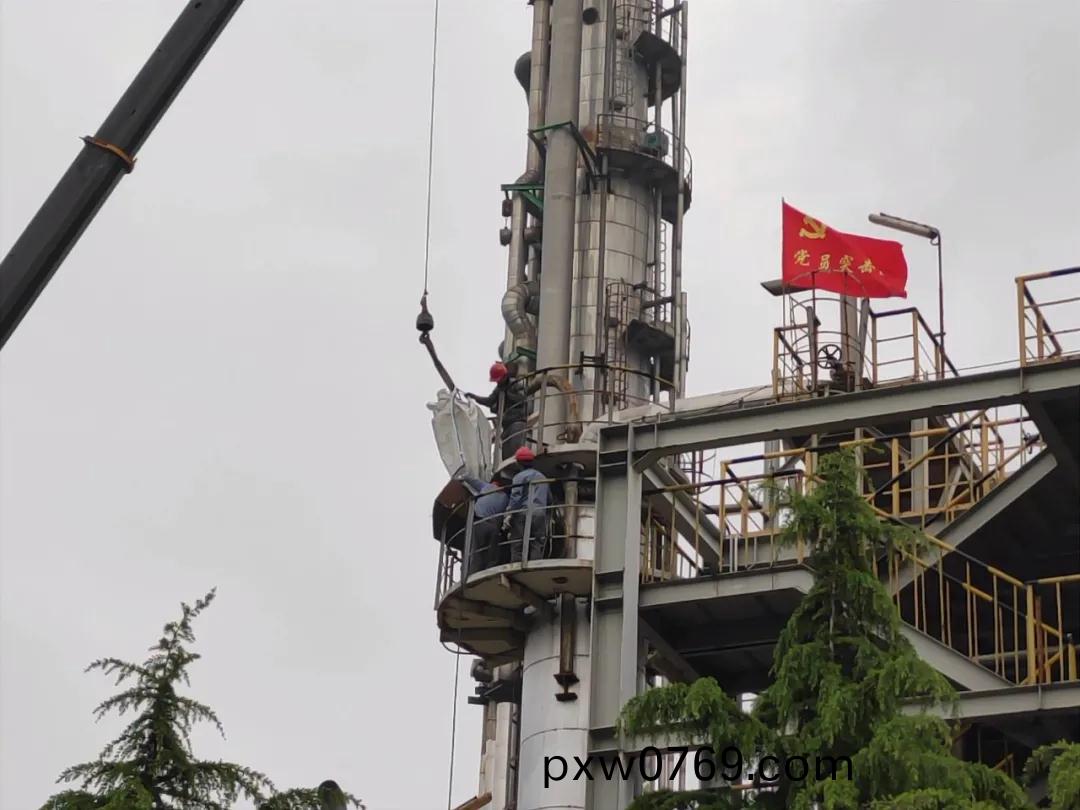 1640683638654798.jpeg 1640683638654798.jpeg