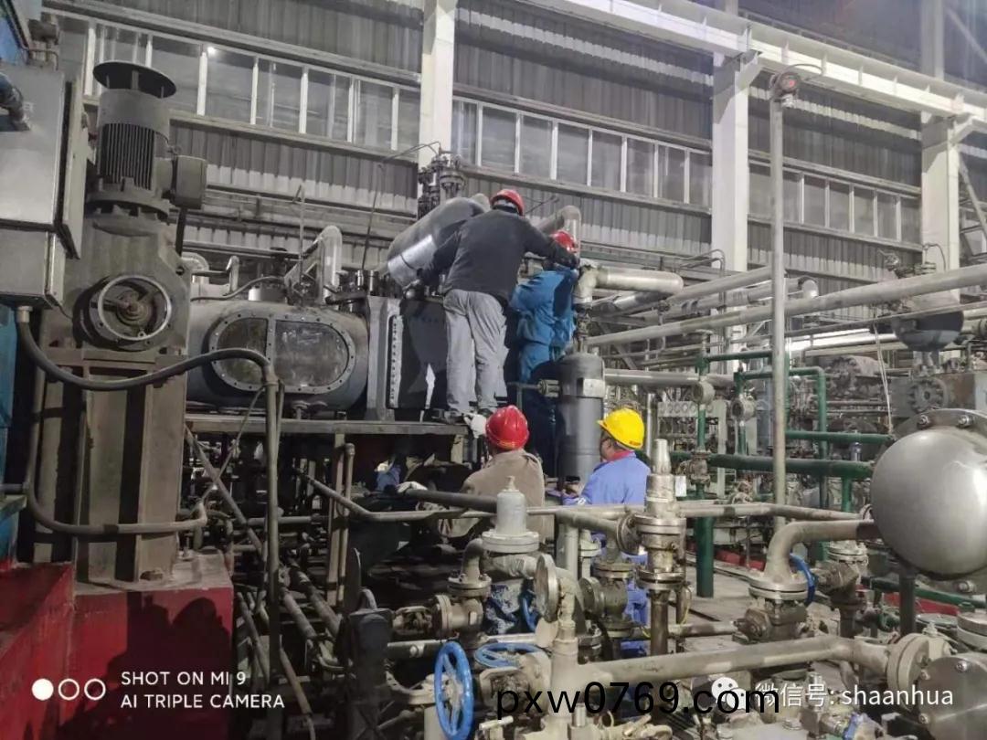 1641295369645786.jpeg 1641295369645786.jpeg