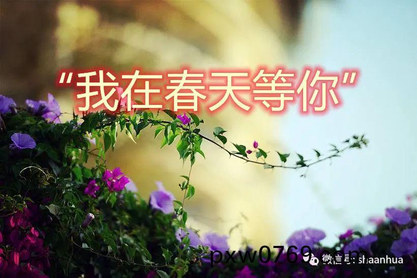 微(wei)信圖片_20220308174222.jpg