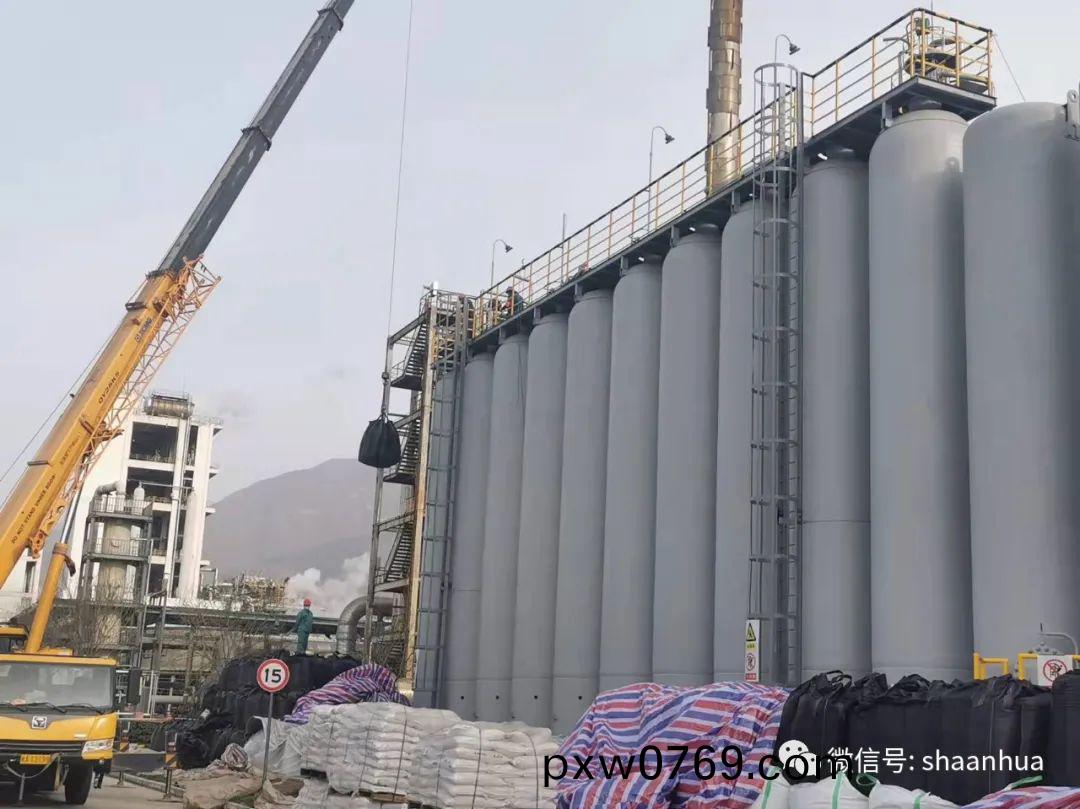 1647513011533215.jpeg 1647513011533215.jpeg