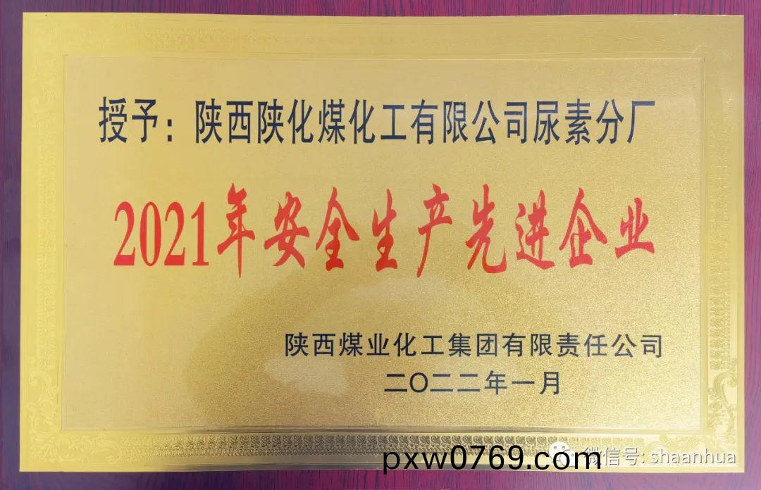 1647829033912236.jpeg 1647829033912236.jpeg