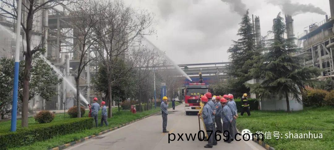 1647829171540053.jpeg 1647829171540053.jpeg