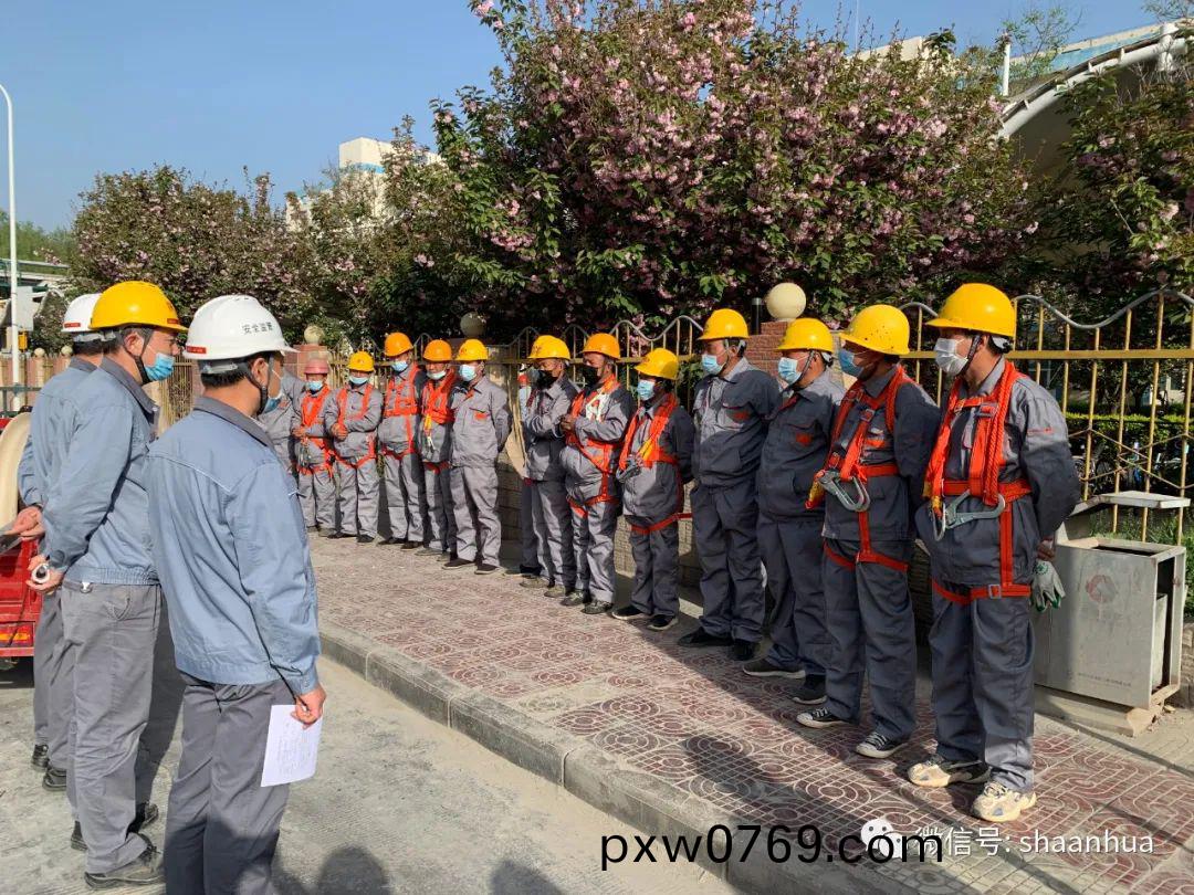 1649930217764887.jpeg 1649930217764887.jpeg