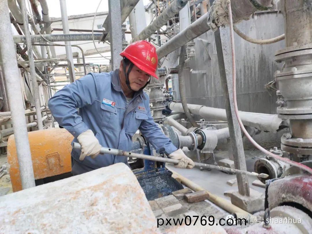 1650023465924235.jpeg 1650023465924235.jpeg