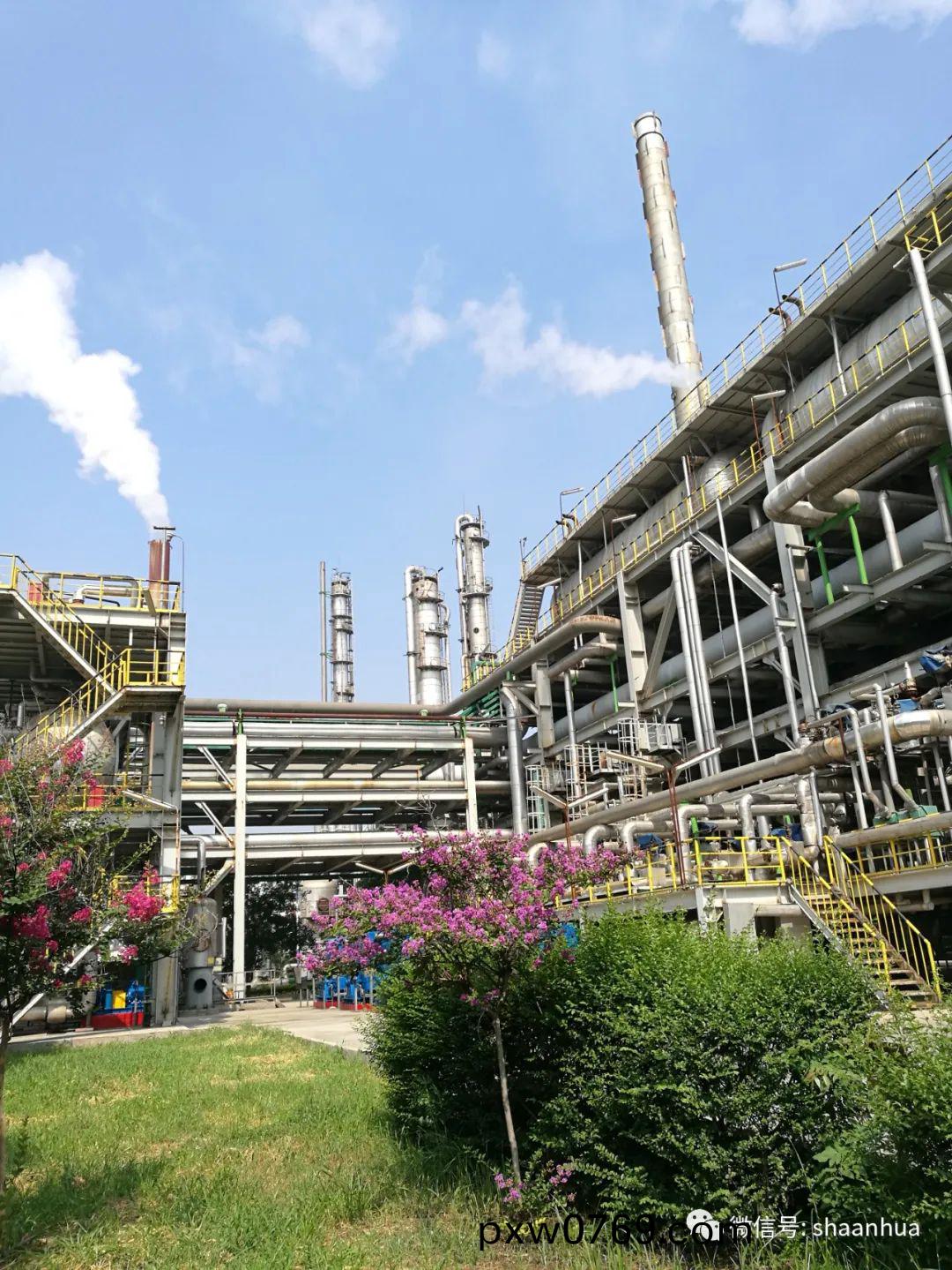 1650023567131809.jpeg 1650023567131809.jpeg