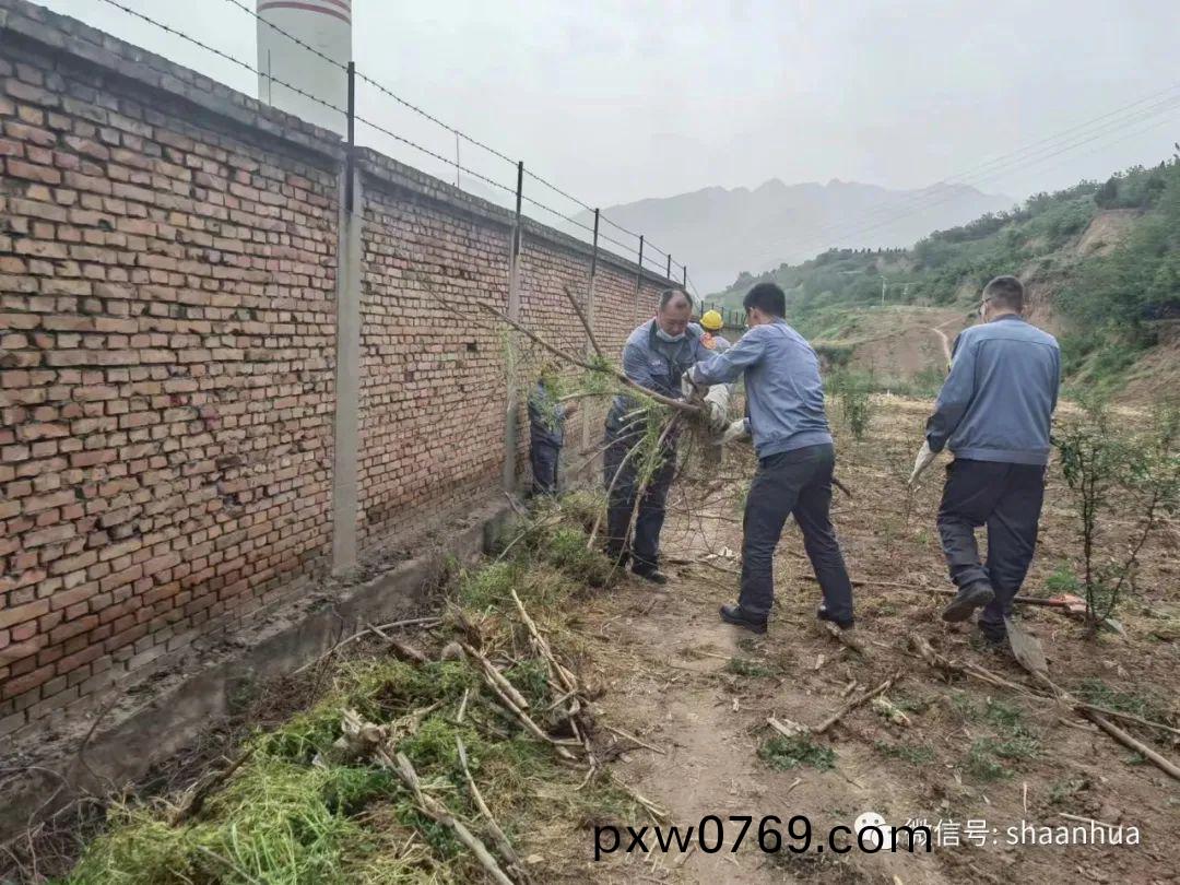 1651053218563674.jpeg 1651053218563674.jpeg