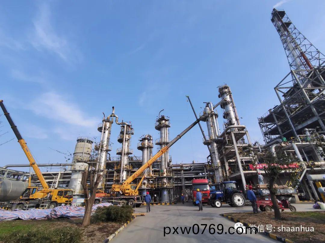 1651830375697029.jpeg 1651830375697029.jpeg