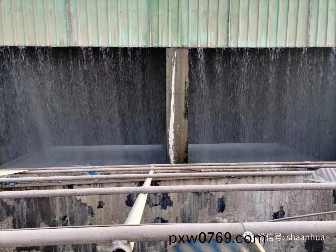 1654139515989771.jpeg 1654139515989771.jpeg