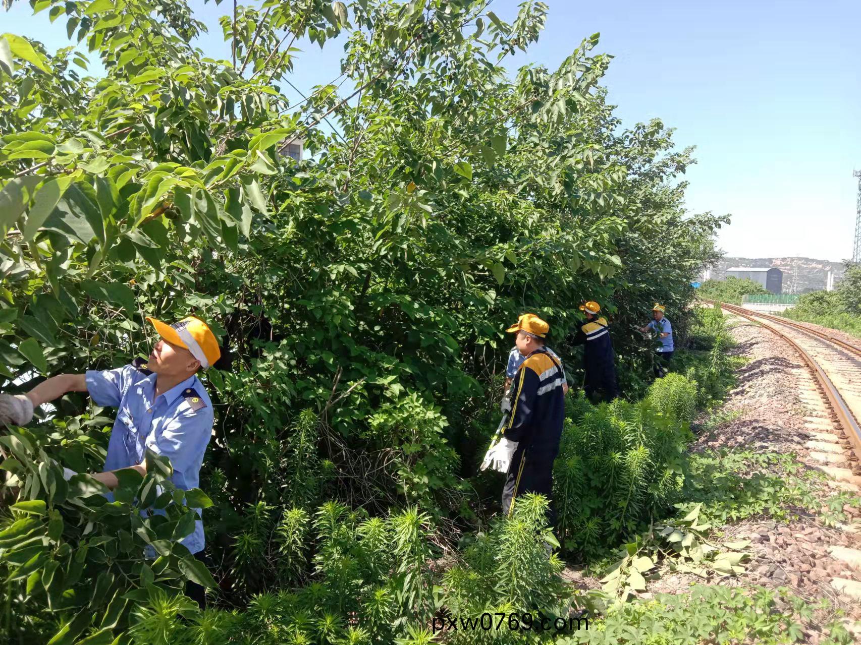 1655277704884149.jpeg 1655277704884149.jpeg