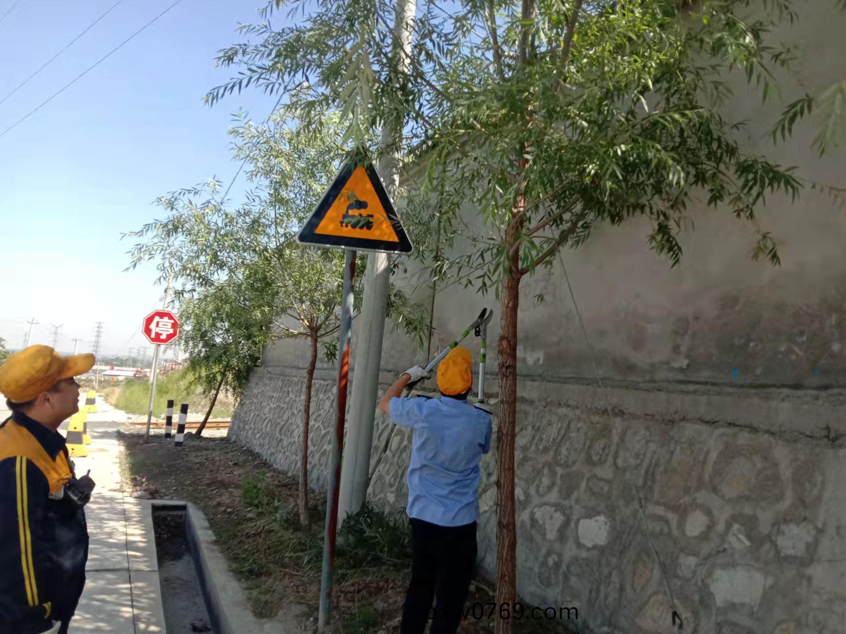 1655277705314686.jpeg 1655277705314686.jpeg