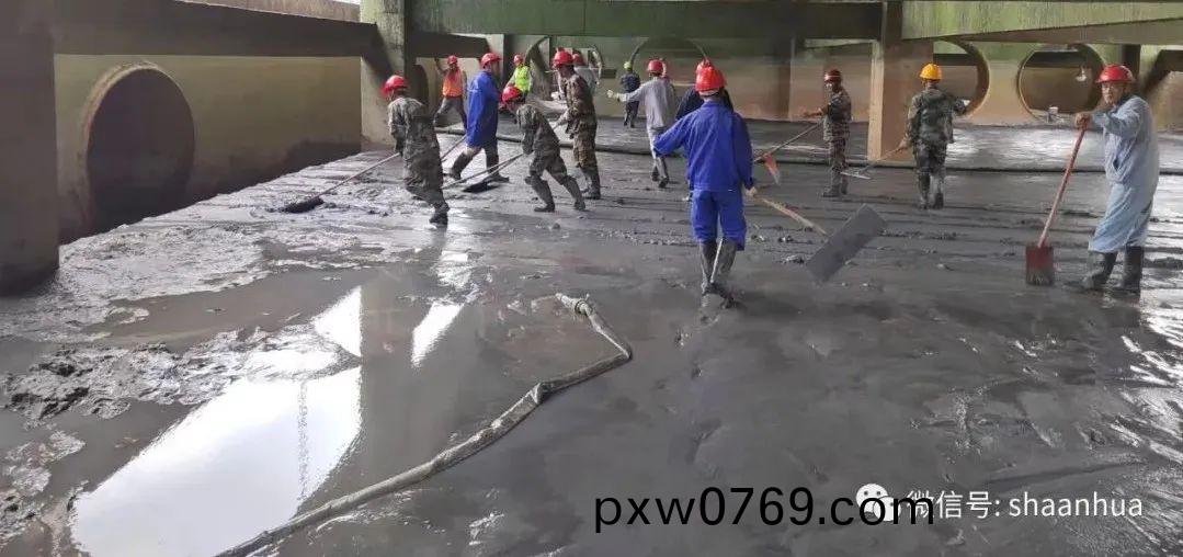 1655772651764054.jpeg 1655772651764054.jpeg