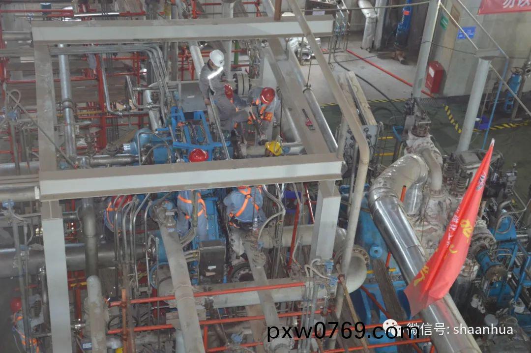 1656158955305373.jpeg 1656158955305373.jpeg