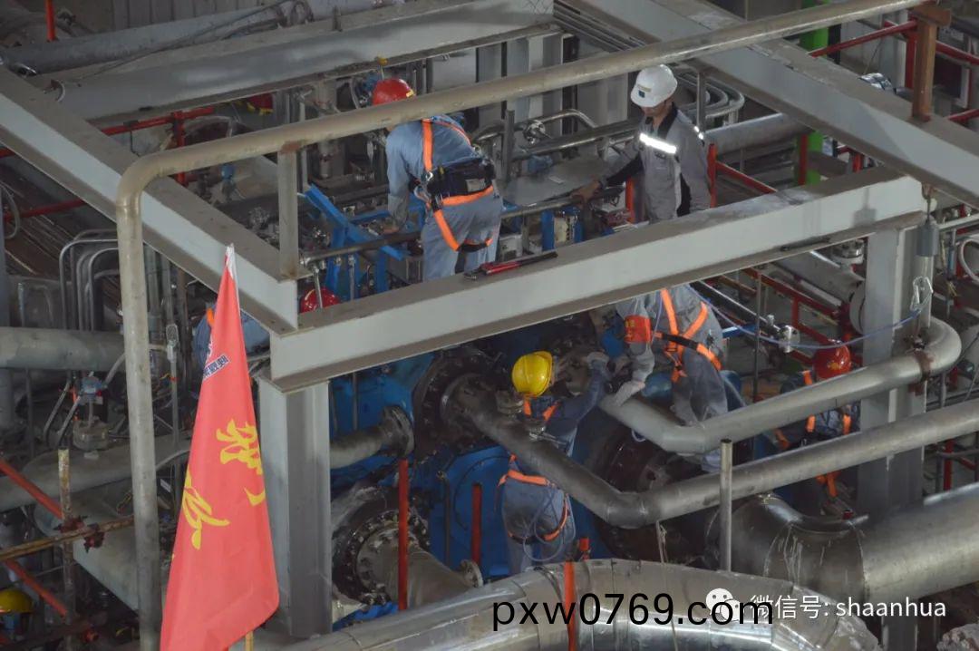 1656158980369416.jpeg 1656158980369416.jpeg