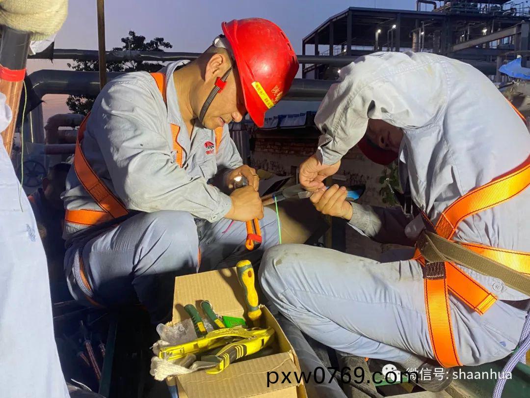 1656159451937744.jpeg 1656159451937744.jpeg