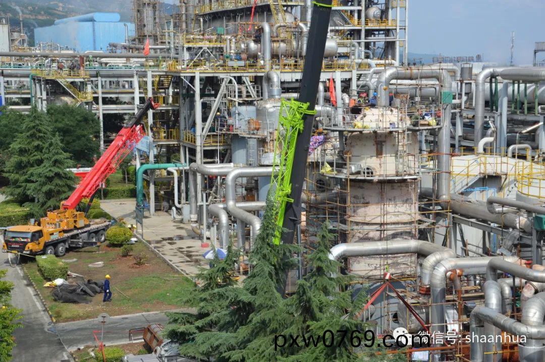 1656677768886749.jpeg 1656677768886749.jpeg