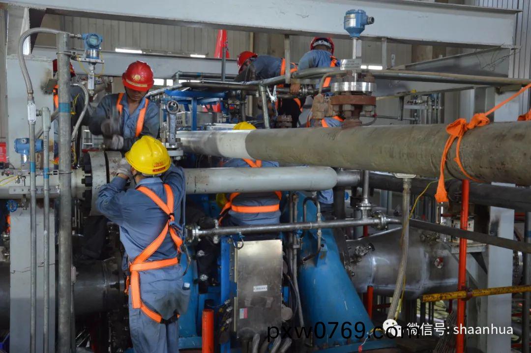 1656677782927809.jpeg 1656677782927809.jpeg