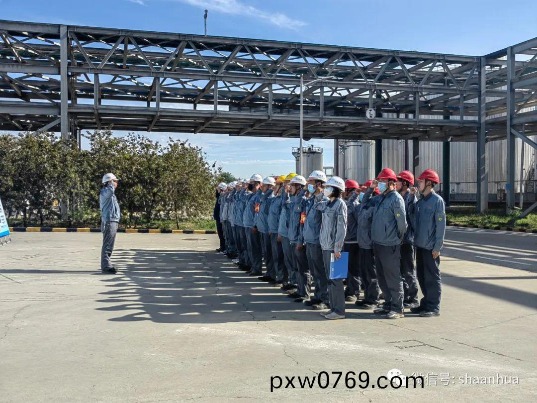 1656677832509936.jpeg 1656677832509936.jpeg