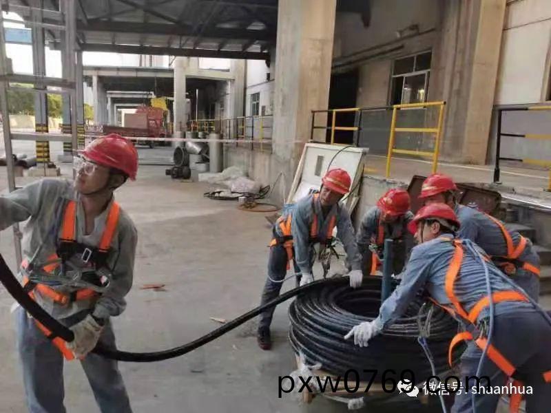 1656898269167112.jpeg 1656898269167112.jpeg