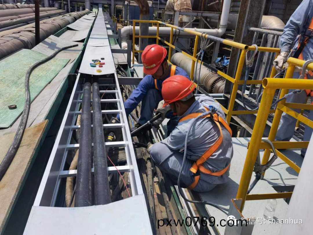 1657196477152173.png 1657196477152173.png