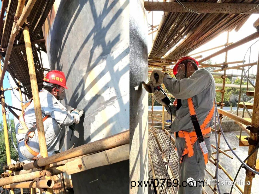 1657707739856308.jpeg 1657707739856308.jpeg