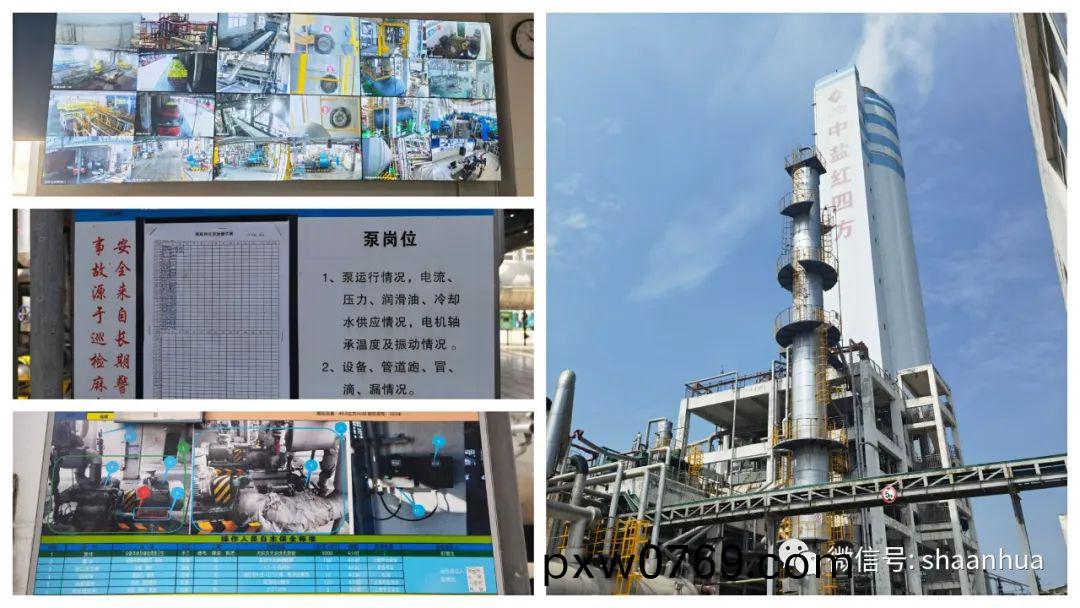 1661508986346282.jpeg 1661508986346282.jpeg